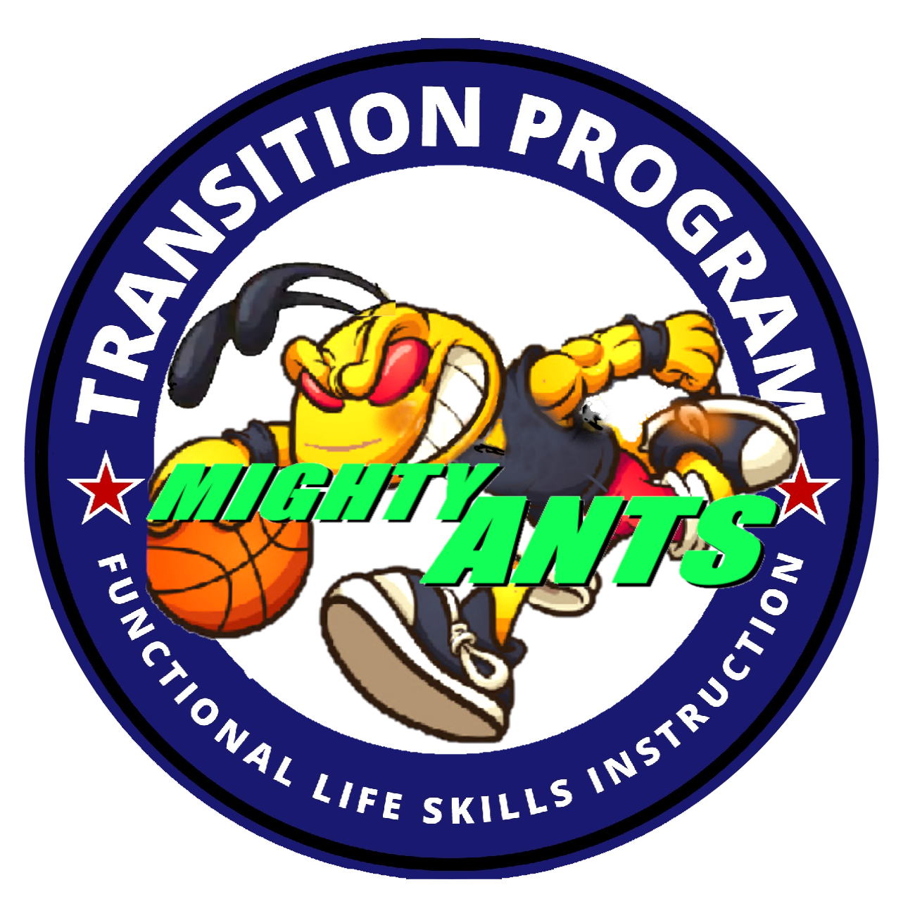 Transition Program Logo